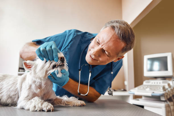 Best Emergency Broken Tooth Repair in Freeport, NY